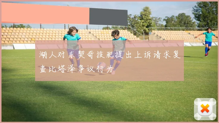 湖人对东契奇技犯提出上诉请求复查比塔泽争议行为