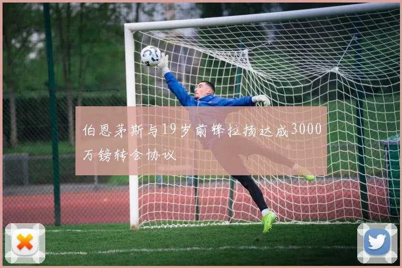 伯恩茅斯与19岁前锋拉扬达成3000万镑转会协议